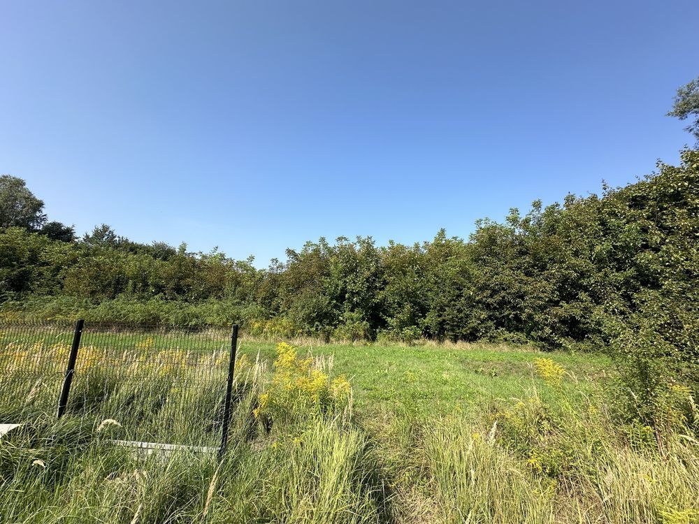 Działka inwestycyjna Piotrków Trybunalski Śródmieście, ul. Wilcza. Zdjęcie 6