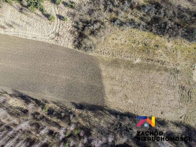 Działka budowlana Zielona Góra Racula, ul. Racula-Międzylesie. Zdjęcie 8