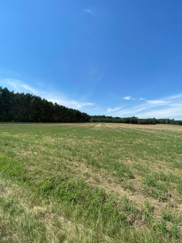 Działka budowlana Studzianna. Zdjęcie 1