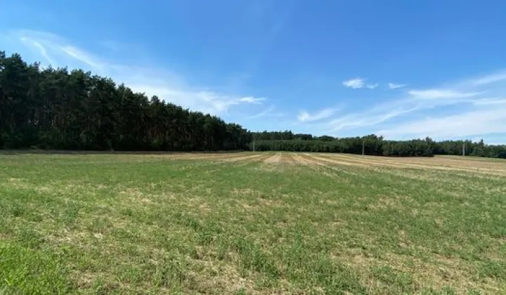 Działka budowlana Studzianna