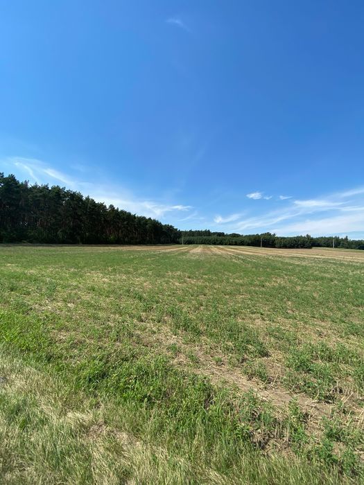 Działka budowlana Studzianna