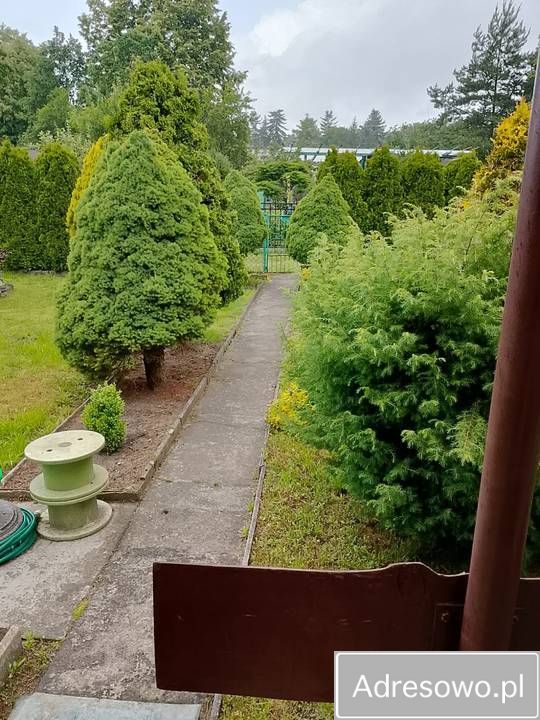 Działka rod Będzin Podłosie, ul. Podłosie. Zdjęcie 8