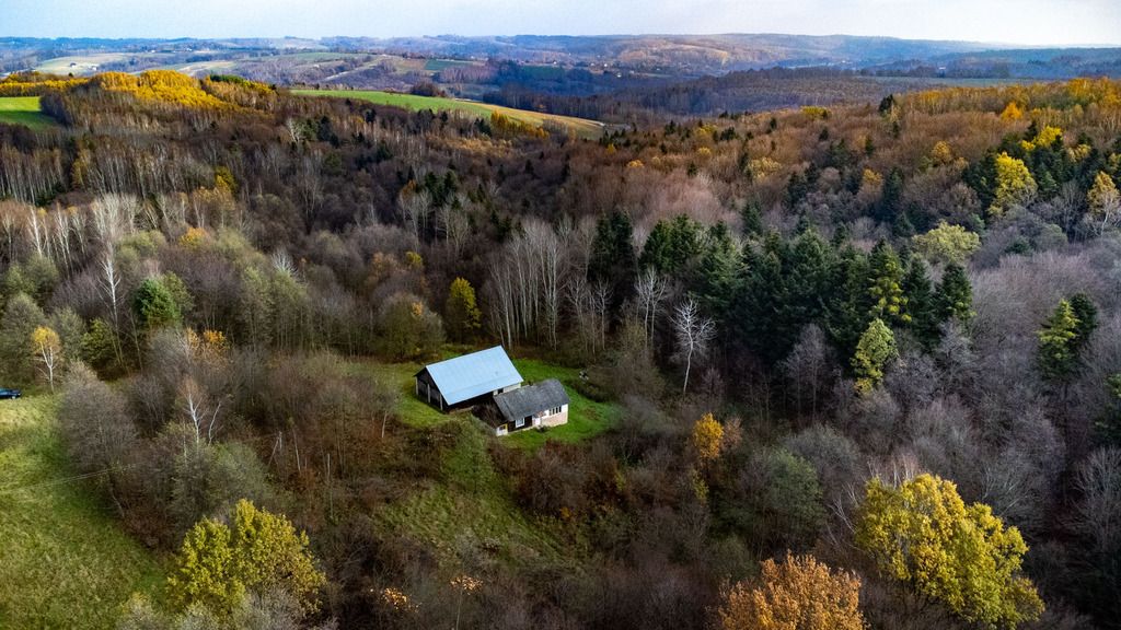 dom wolnostojący, 2 pokoje Borówki. Zdjęcie 14