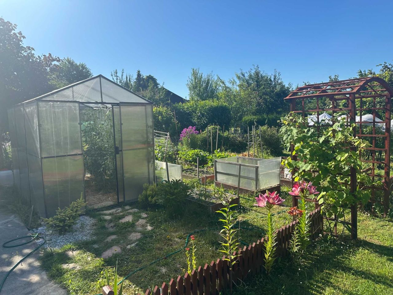 Działka rod Grzybiany. Zdjęcie 6