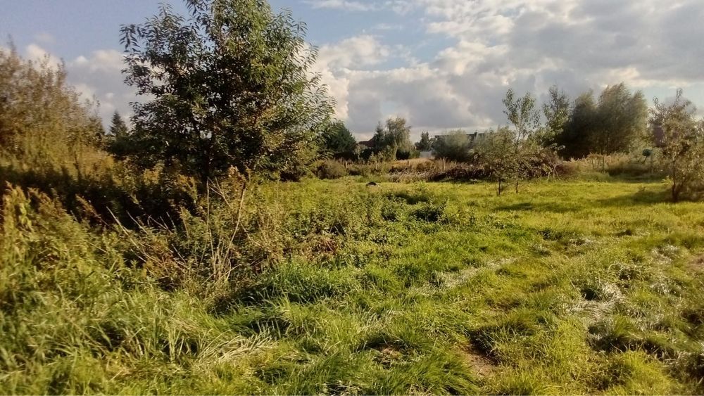 Działka budowlana Dobra. Zdjęcie 2