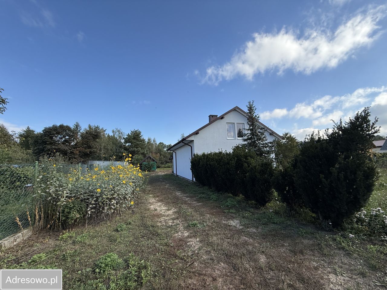 dom wolnostojący, 5 pokoi Okna Czarne. Zdjęcie 10