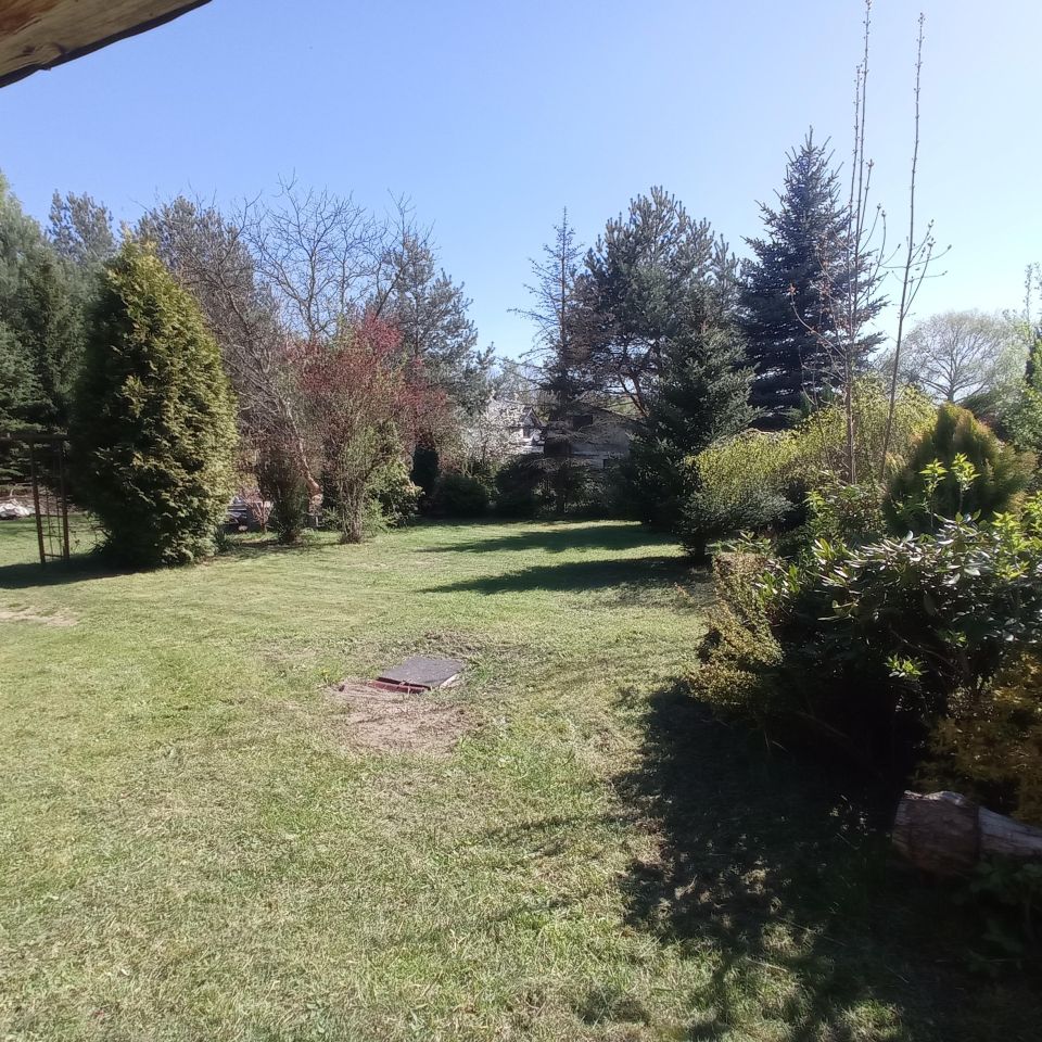 Działka rod Sosnowiec Kazimierz, ul. Limbowa. Zdjęcie 2