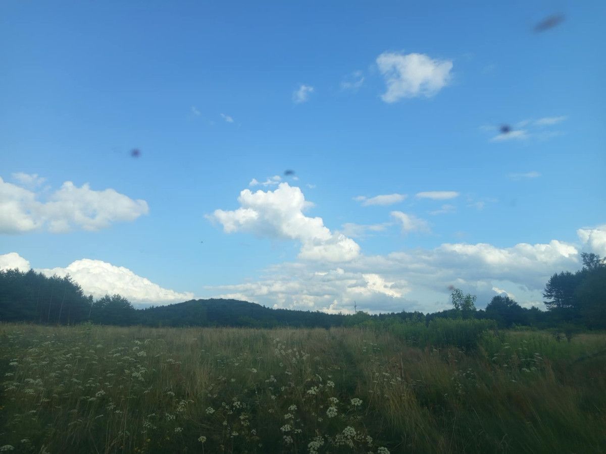 Działka rolno-budowlana Czarny Las-Kolonia. Zdjęcie 4