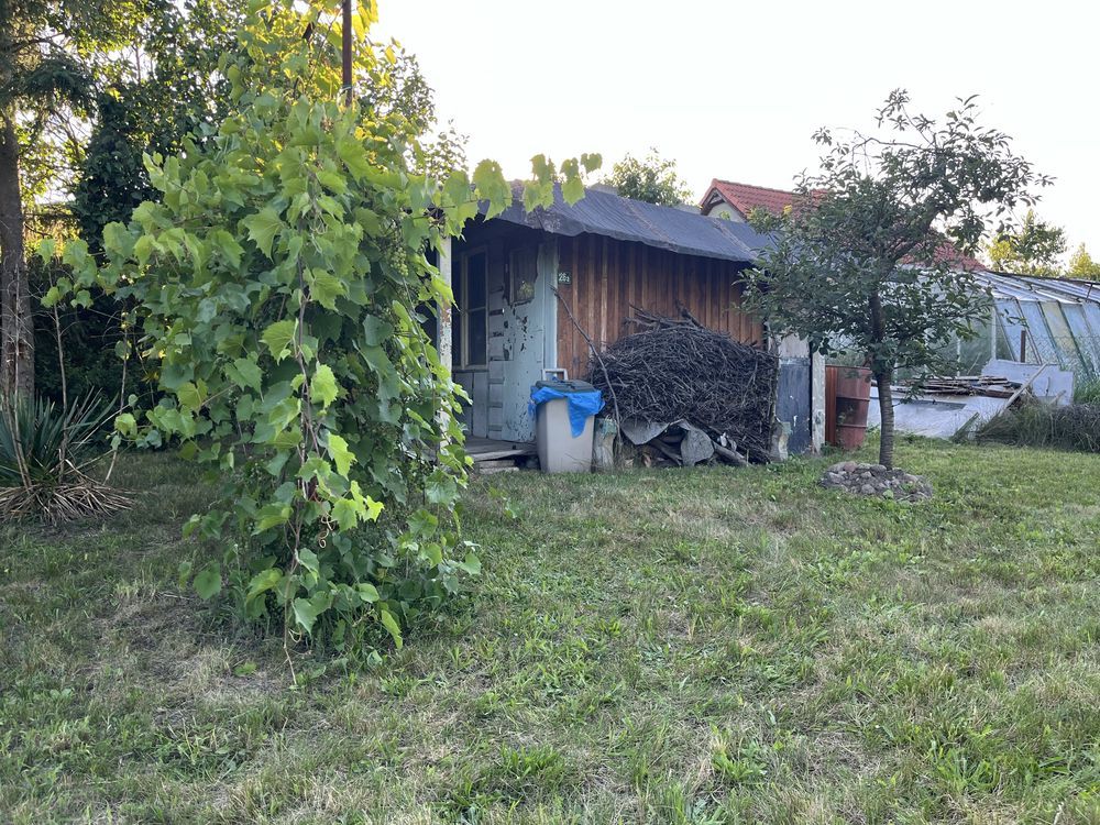 Działka rod Droszków. Zdjęcie 1