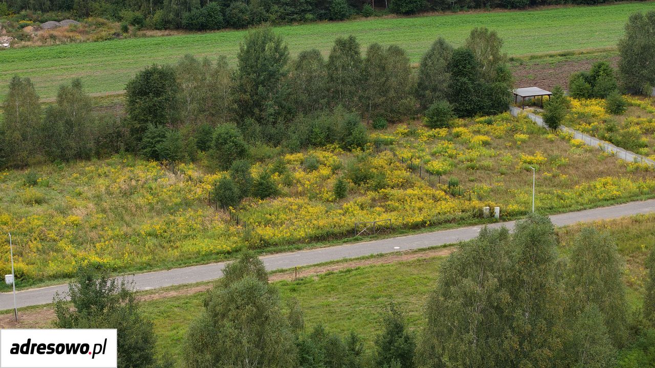 Działka budowlana Kolonia Klepaczka, ul. Polna. Zdjęcie 7