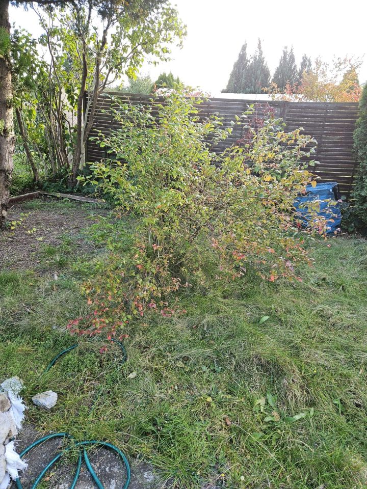 Działka rod Kieźliny. Zdjęcie 7