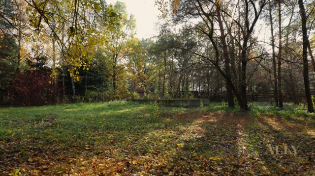 Działka rekreacyjna Zambski Kościelne. Zdjęcie 4