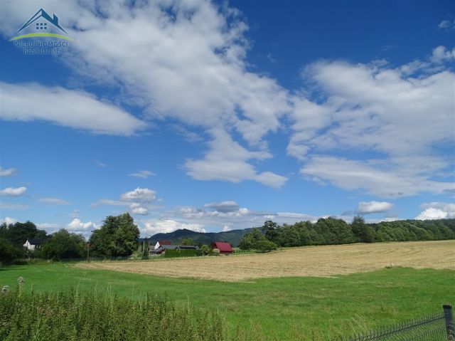 Działka Cisownica. Zdjęcie 4