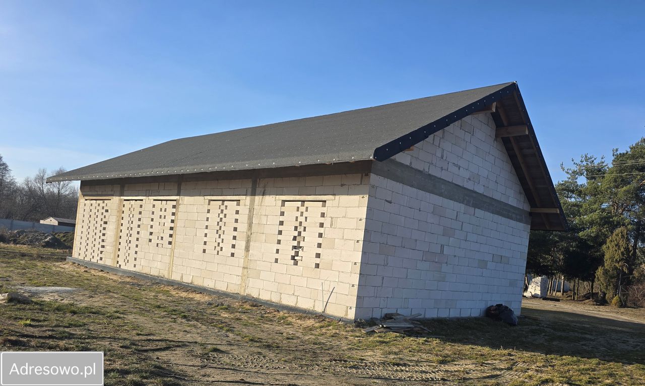 dom wolnostojący, 3 pokoje Wielgolas Brzeziński, ul. Piastowska. Zdjęcie 4