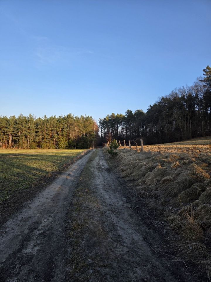 Działka rolno-budowlana Gwiazdowo Gwiazdówko. Zdjęcie 2