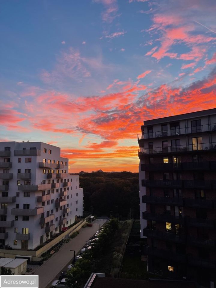 Mieszkanie 3-pokojowe Wrocław Popowice, ul. Białowieska. Zdjęcie 10