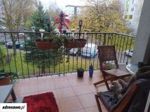 Mieszkanie 3-pokojowe Sosnowiec Niwka, ul. Konstytucji. Zdjęcie 1