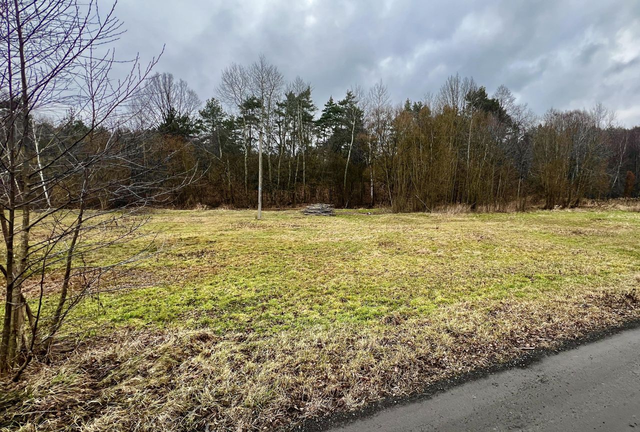 Działka rolno-budowlana Rysie. Zdjęcie 2