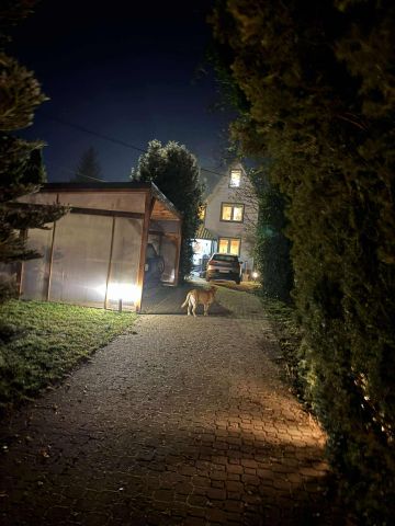 dom wolnostojący, 7 pokoi Zakrzewo Kościelne. Zdjęcie 22