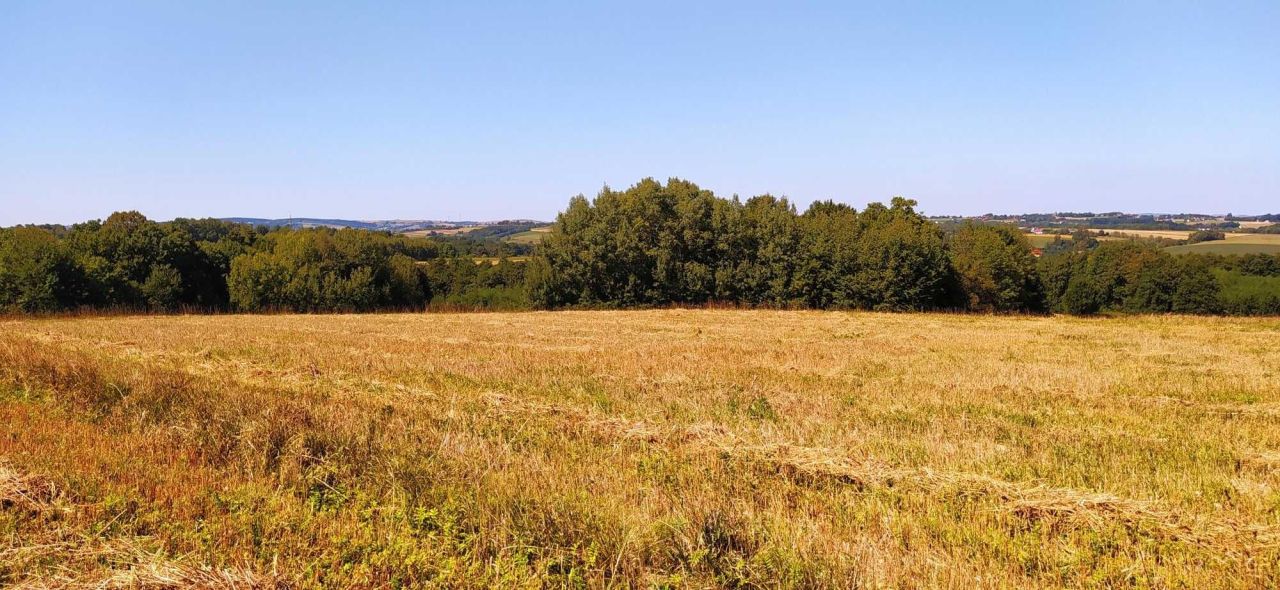 Działka budowlana Szalowa. Zdjęcie 3