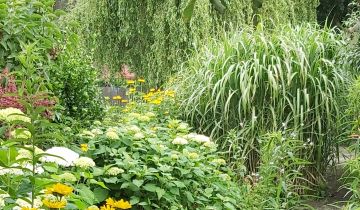 Działka rod Włocławek Ruda, Ruda