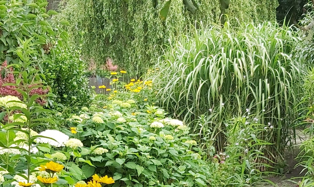 Działka rod Włocławek Ruda, Ruda