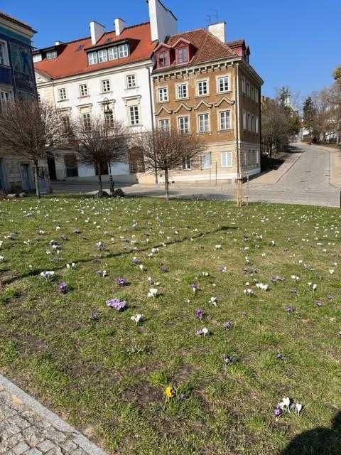 Mieszkanie 1-pokojowe Warszawa Stare Miasto. Zdjęcie 3