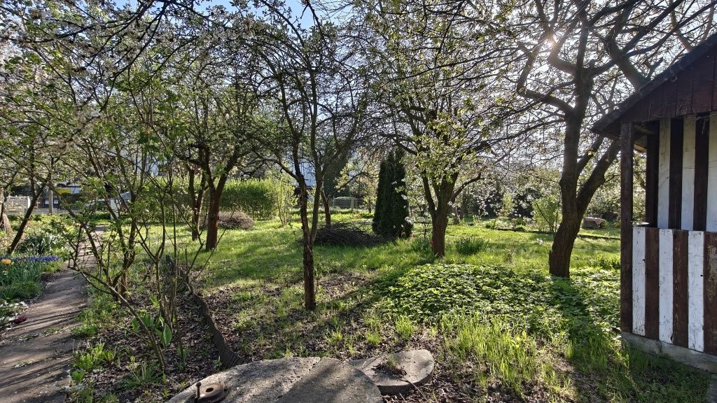 Działka rod Wrocław Krzyki. Zdjęcie 5