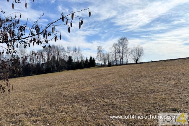 Działka budowlana Stróże. Zdjęcie 5