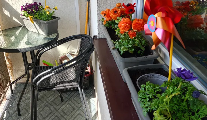 Mieszkanie 2-pokojowe Gliwice Kopernik, ul. Syriusza