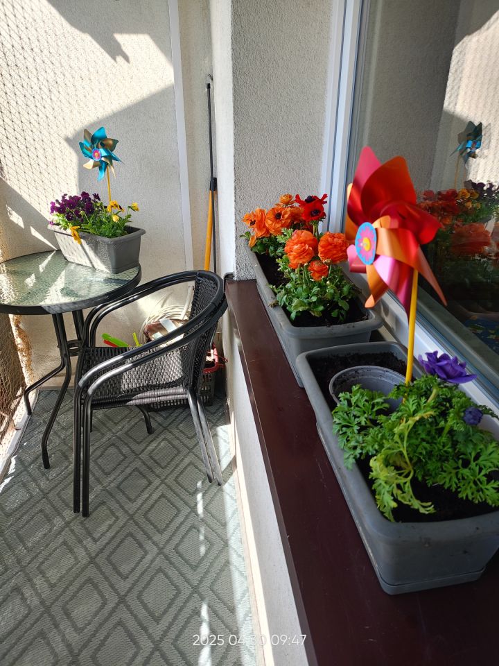 Mieszkanie 2-pokojowe Gliwice Kopernik, ul. Syriusza. Zdjęcie 9