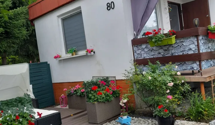 Działka rod Kruszyn Krajeński