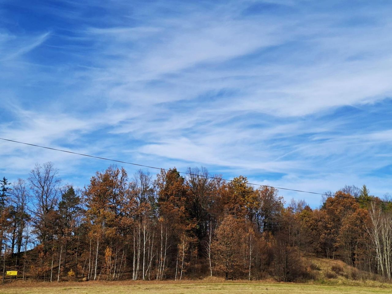 Działka rolna Głębock. Zdjęcie 5