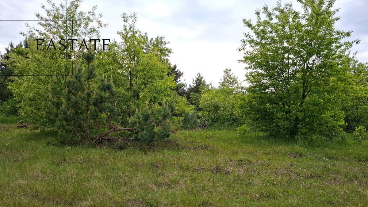 Działka inwestycyjna Myrcha. Zdjęcie 2