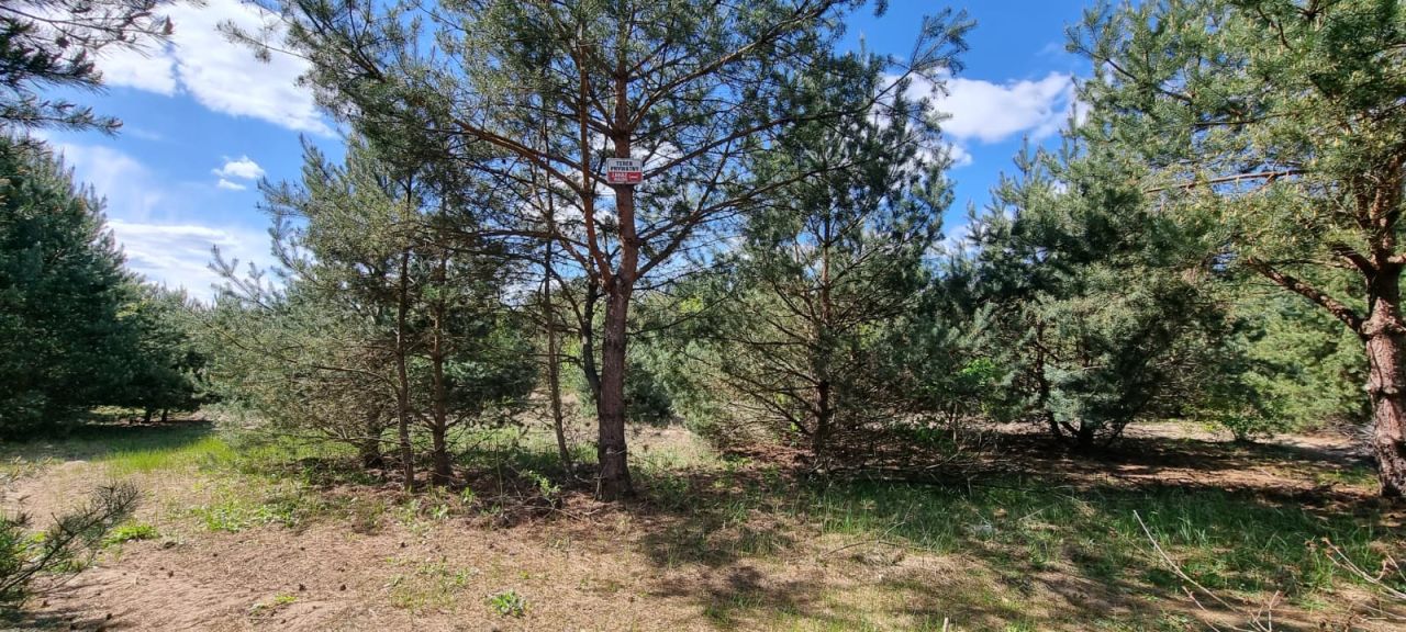 Działka budowlana Kania Nowa, ul. Popowska. Zdjęcie 6