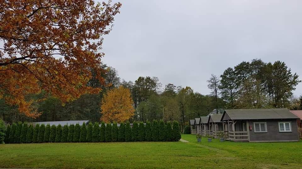 Hotel/pensjonat Dąbki, ul. Turystyczna. Zdjęcie 5