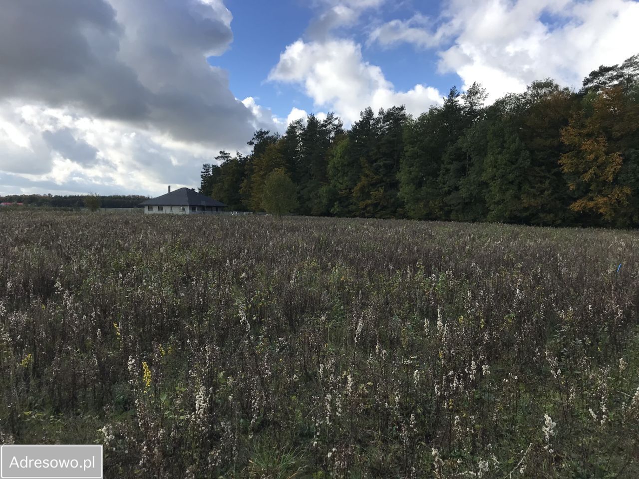 Działka budowlana Kochanowo, ul. Leśna. Zdjęcie 4