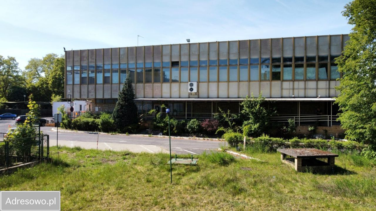 Lokal Nowa Sól, ul. marsz. Józefa Piłsudskiego. Zdjęcie 7