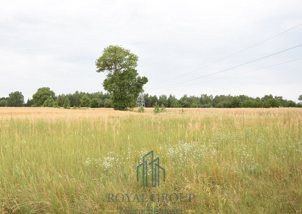 Działka siedliskowa Górka. Zdjęcie 5