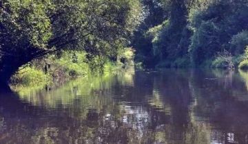 Działka budowlana Parzeń-Janówek