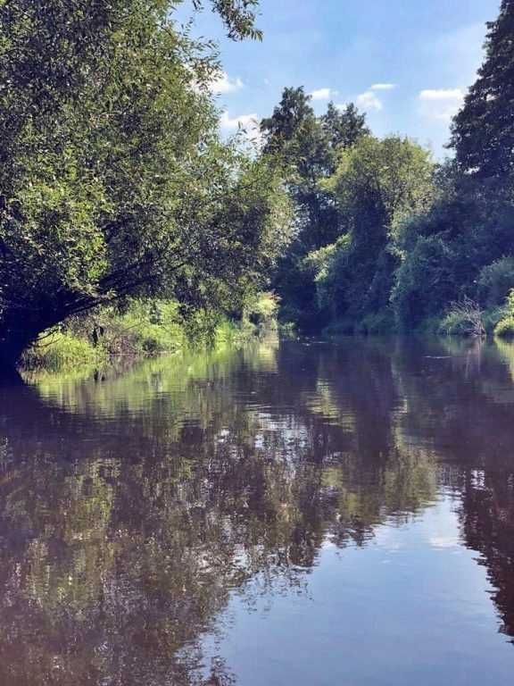 Działka budowlana Parzeń-Janówek. Zdjęcie 2