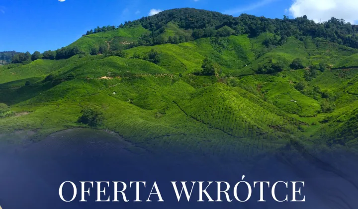 Działka inwestycyjna Rzeszów Nowe Miasto, ul. Zwiadowców