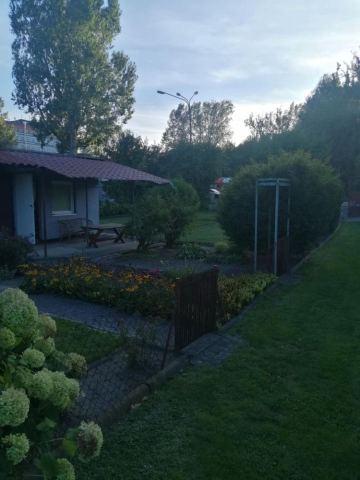 Działka rod Zgierz. Zdjęcie 4