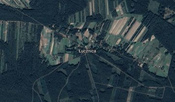 Działka leśna Łucznica