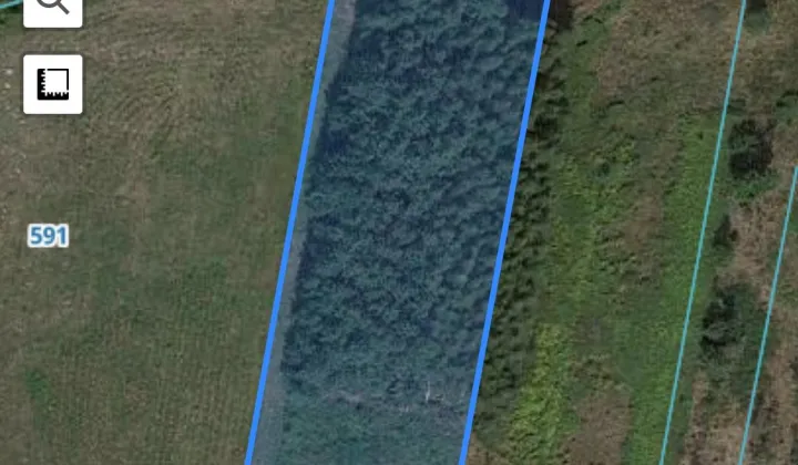 Działka rolno-budowlana Kury