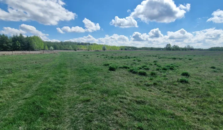 Działka rolna Tyborów