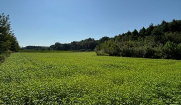 Działka rolna Góry Wysokie