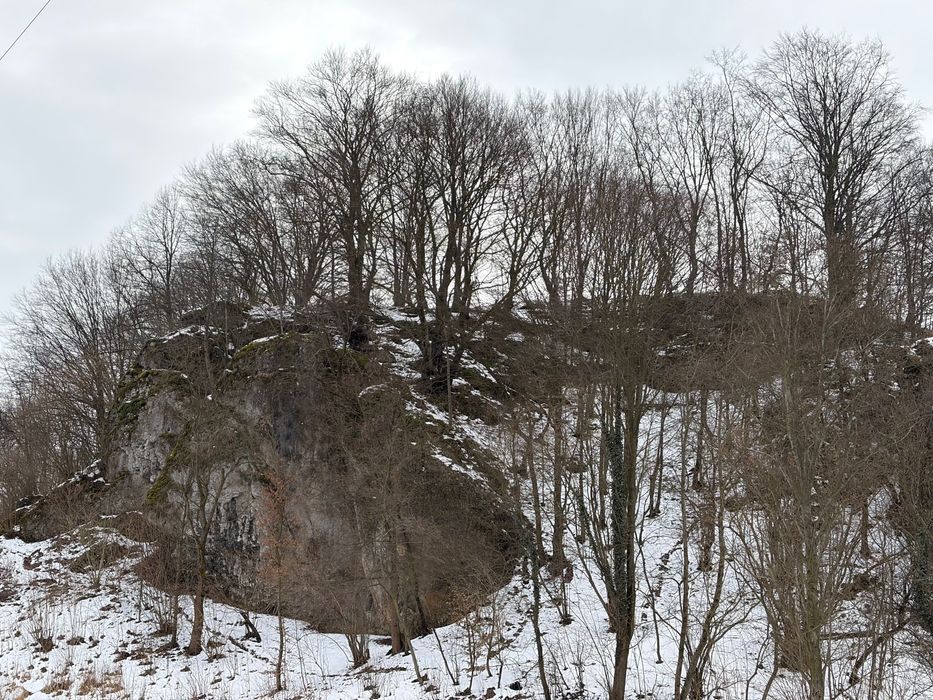 Działka rolna Brodła. Zdjęcie 4