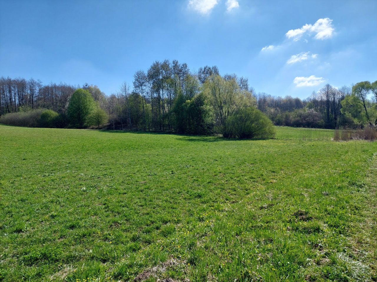 Działka rolno-budowlana Szalowa Bochnia. Zdjęcie 16