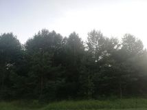 Działka leśna Myszków. Zdjęcie 1